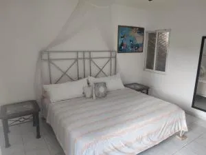 El Cantón de Nelly - Chenkú