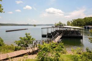 Tribesman #9 - Iron Lotus - on Table Rock Lake