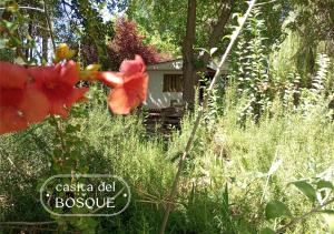 Casita del Bosque