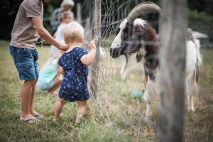 B&B / Chambres d'hotes Les Filolies : photos des chambres