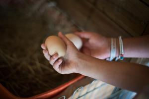 B&B / Chambres d'hotes Les Filolies : photos des chambres