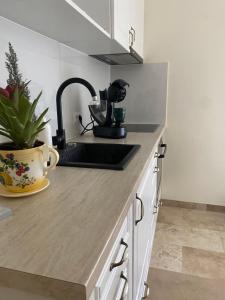 Apartament Timisoara 5