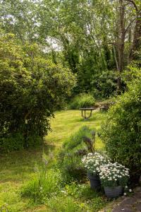 Appartamento con piscina e giardino - Lavanda