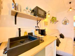 Mini-Studio Le Cormoran SCLS - Wifi, Clim, Centre Ville