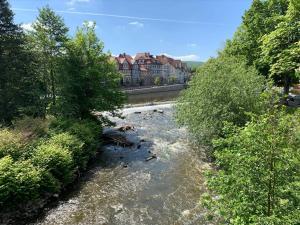 4- Sterne Ferienwohnung Dr Eisenbart