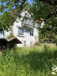 Ferienwohnung - Reinhardshagen