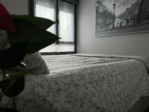 Sunny apartment, near coast.