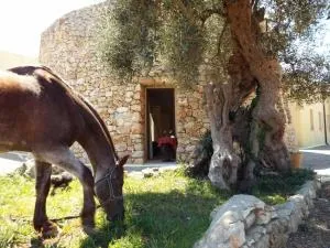 Delle Rose Horses Club - Tricase