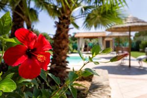 Alghero Villa Morena with exclusive swimming pool and large garden img4
