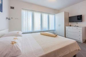 Apartment in Novi Vinodolski 39118