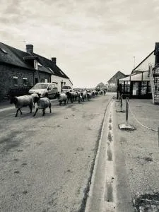 Gîte La Mouette de 4 personnes - 圣米歇尔山