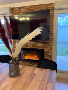 Comfort and tranquility near Lyon and Groupama Stadium, 4 personnes