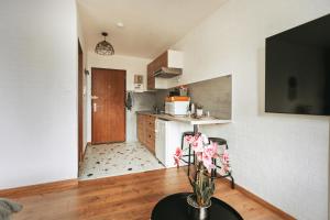 Appartements Studio cote nature - trois epis de Turckheim : photos des chambres