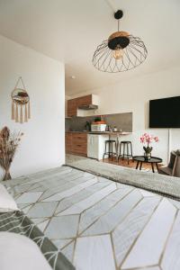 Appartements Studio cote nature - trois epis de Turckheim : photos des chambres