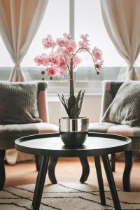 Appartements Studio cote nature - trois epis de Turckheim : photos des chambres