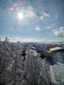 Zlatibor apartman Iva