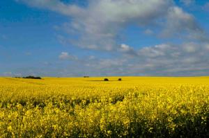 nur wenige Gehminuten zum Zentrum und Strand Wohnung 17 -