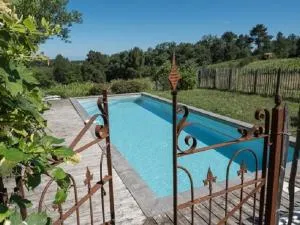 Magnifique maison avec piscine privée, Wi-Fi et animaux acceptés - FR-1-616-234 - Gavaudun