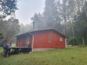 CABAÑA ENTRE ARRAYANES Y COPIHUES Selva VALDIVIANA