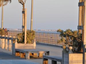 Appartement 2 chambres près plage, animaux admis - FR-1-323-309