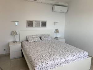 Villa avec piscine à débordement et climatisation, Côte dAzur - FR-1-768-71