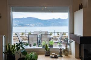 Cielo Hospitality