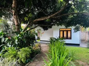 The Mango Retreat - Talaramba