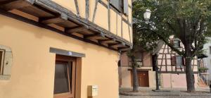 Coup de cœur en Alsace ! Proche Colmar et sur la route des Vins, Gîte de la Muse avec son jardin