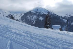 Chalets Le Clos Du Berger : Chalet 1 Chambre