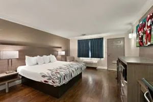 Red Roof Inn Los Angeles - Bellflower - 贝尔弗劳尔