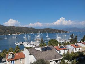 Duygu Apart spellbinding sea views