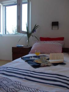 Holiday home in Primosten - Sibenik Riviera 43222