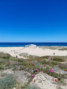 Domo S'apposentu img46