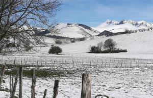 Maisons de vacances 4 Bedroom Stunning Home In Louvie-Juzon : photos des chambres