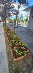 Arveelene Bedspacing