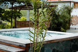 Finca Hotel Yerbabuena