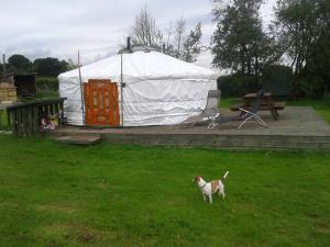 Glamping West Midlands