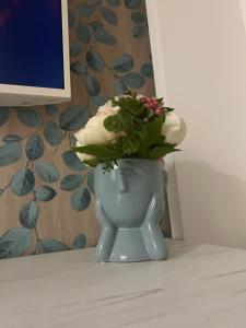 Apartman White- Vila Peković