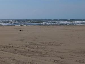 Sopraland 515, T2 parking piscine, 200m plage