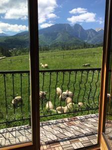 GÓRALSKI DOM z kominkiem