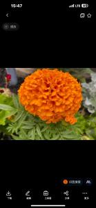 Quiet and Comfortable Homestay