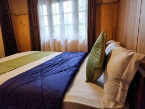 Veronica Alpina Mountain View Home