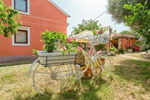 Apartment Cunski 7867c