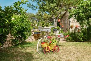 Apartment Cunski 7867c