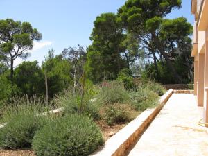 Apartment Sveta Nedilja 14086b