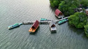 Villa Mangrove Pulau Pahawang - Ratai