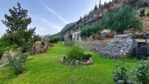 homonatura petrinum - Dhirrákhion