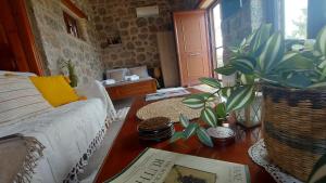 homonatura petrinum