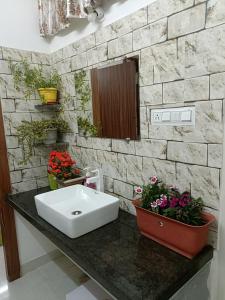 Homestay Sthanavi