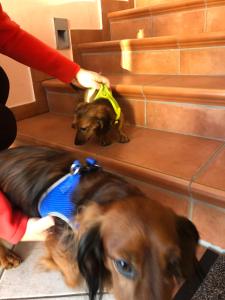 Appartment Isabelle Home